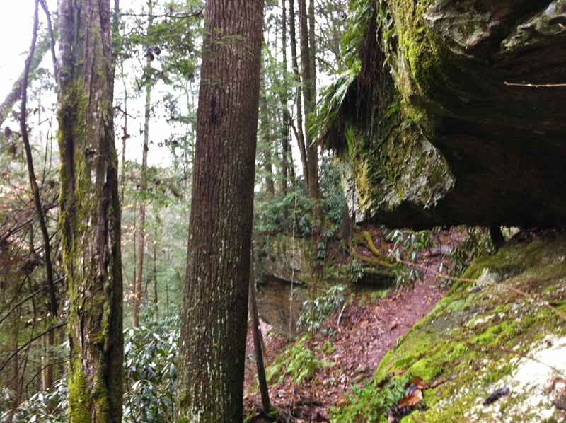 Wildcat Creek Trail - 7